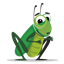 Gray Crickets logo