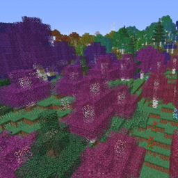 SurvivalPlus
