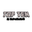 Ten mods logo