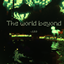 The world beyond logo