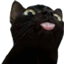 Elizzyble's Public MC Modpack logo