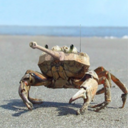 Crabs and Dragons logo