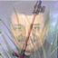 Le Altair Pack logo