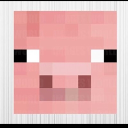 DUH Modpack logo