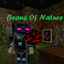Beans Of Nature logo