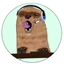 BelZeqihr Server logo