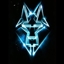 TechnoWolf Raid Observer logo