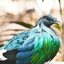 Modded Pigeons logo