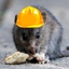 Engineering Rats logo