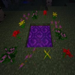 Dimension Master logo