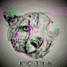 K9's Pack logo