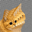 Petis Modpack logo