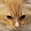 FluffyCraft logo