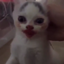 Nyahcats Modpack logo