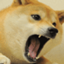 SlavDoge's Pack logo