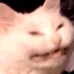 Whomst've Jpegged My Cat logo