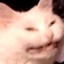Whomst've Jpegged My Cat logo
