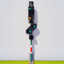 GIR Signal Mod logo