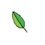 Nature's blessing logo