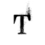 Todzial logo