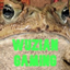 Wuzian Expansion logo