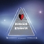 Intricate Endeavor logo