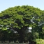 Vanilla Enhancements For Fabric logo