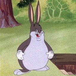 Big Chungus Texture Pack  logo