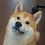 SELBI PogPack logo