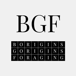 borigins gorigins foraging project image