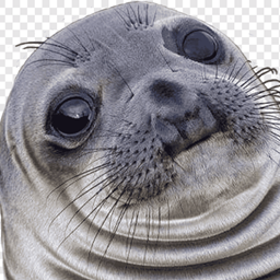 Foca project image