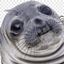 Foca logo