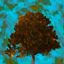 Into the Wind logo