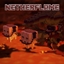 Nether Flames logo