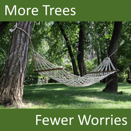 More Trees Fewer Worries (MTFW) logo