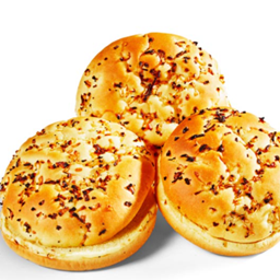 TerraNova TeamOnionBun logo