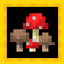 More Fungi logo