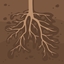 Project Roots logo