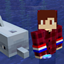 Dolphin Boots logo