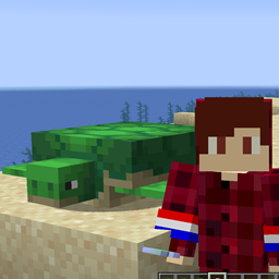 Better Turtle Shells project image
