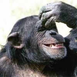 ChimpCraft 2.0