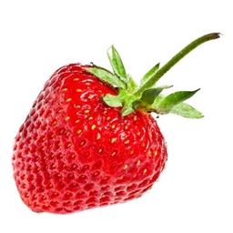 Fabric Strawberry Adventure logo