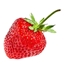 Fabric Strawberry Adventure logo