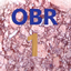 Our Big Resources 1 - OBR 1 logo