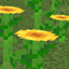 Moving Sunflowers logo