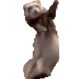 Ferret Mod project image