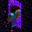 Sneak Nether Portals logo