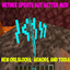 Nether_update mod logo