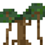Banyan Forest logo