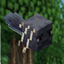 DragonSteve's Wildlife Experience logo